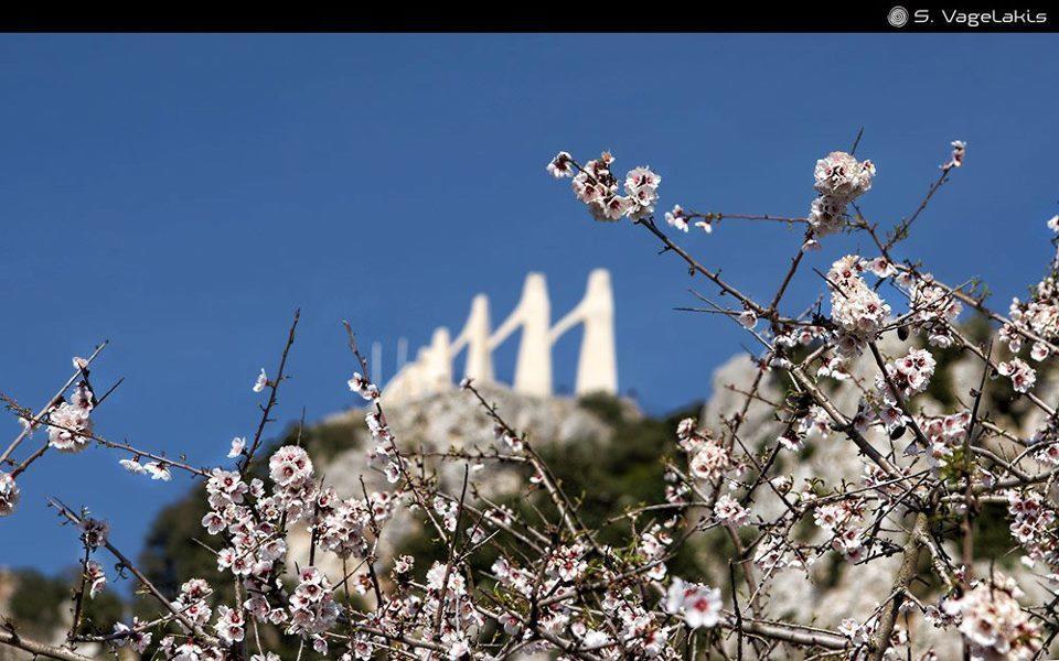 Hotel Fotini Mytikas  Exteriér fotografie